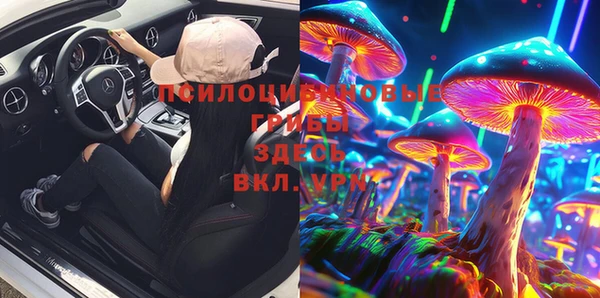 стафф Абаза