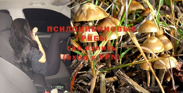 амф Семёнов